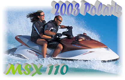 The completely redesigned and refined, 2003 Polaris MSX 110.